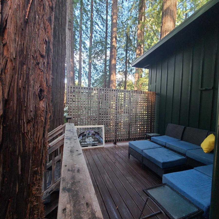 Dhyana Redwoods Fire Table Nearby River Access Ping Pong & Arcade Games Βίλα Guerneville Εξωτερικό φωτογραφία